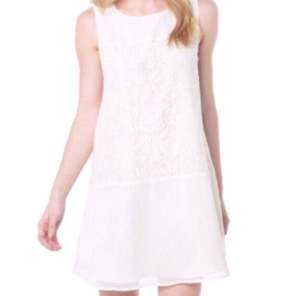 NWT Cupcakes & Cashmere | Lacey Cream Shift Dress